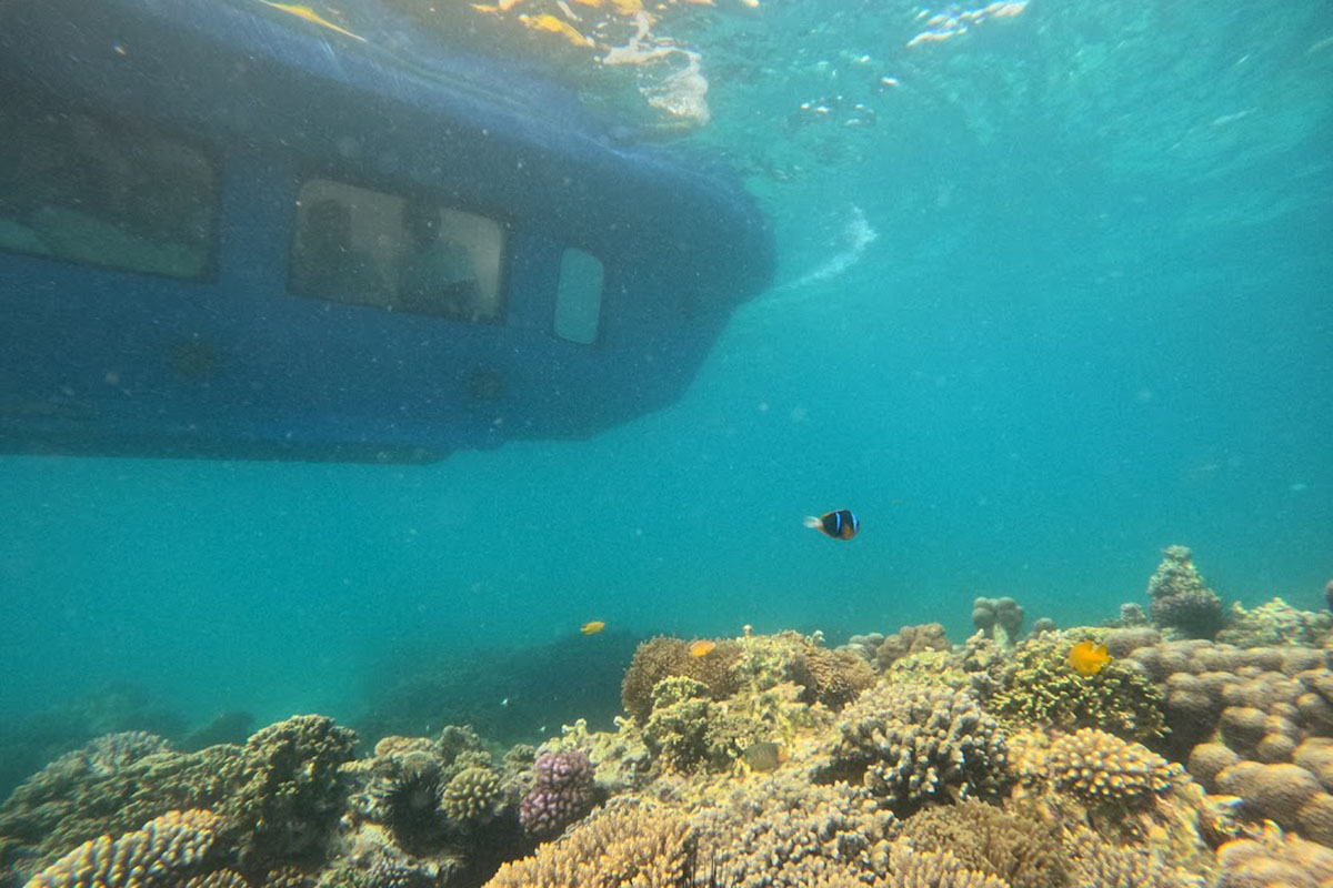 Zanzibar Submarine