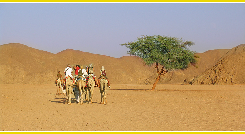 Ethiopia Landscape