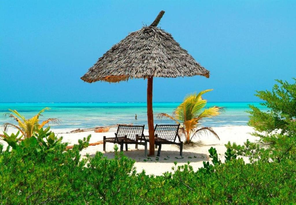 Beachfront Relaxation
