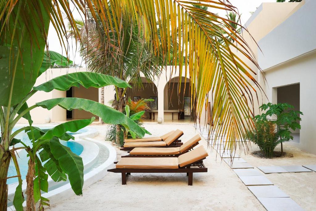 Tropical Garden View