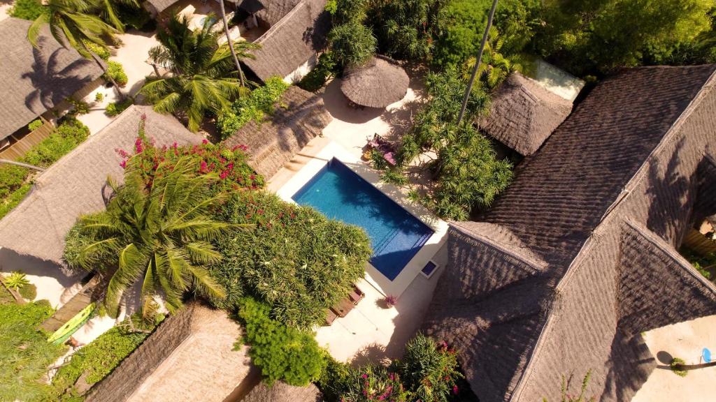 Beachfront Relaxation