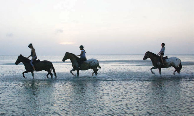 Horse riding in Zanzibar